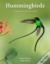 Capa do artigo Hummingbirds
