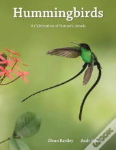 Hummingbirds