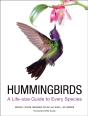 Hummingbirds - Preview