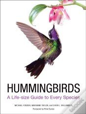 Capa do artigo Hummingbirds