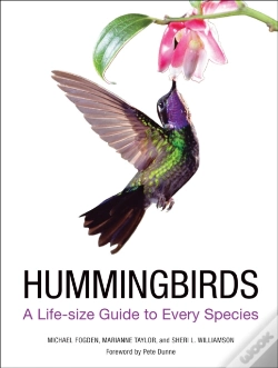 Capa do artigo Hummingbirds