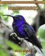 Hummingbirds - Preview