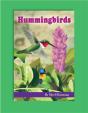 Hummingbirds - Preview