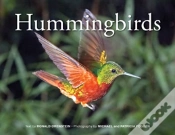 Capa do artigo Hummingbirds