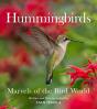 Hummingbirds - Preview