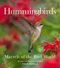 Hummingbirds - Preview
