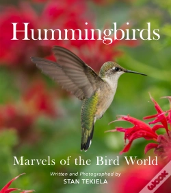 Capa do artigo Hummingbirds