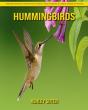 Hummingbirds - Preview