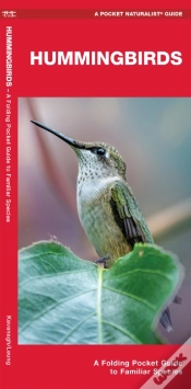 Capa do artigo Hummingbirds