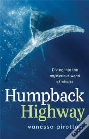 Capa do artigo Humpback Highway