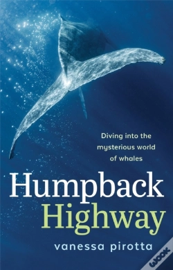 Capa do artigo Humpback Highway