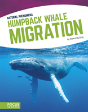 Humpback Whale Migration - Preview
