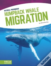 Humpback Whale Migration