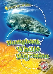 Capa do artigo Humpback Whale Migration