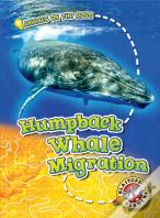 Humpback Whale Migration