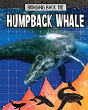 Humpback Whale - Preview