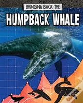 Humpback Whale