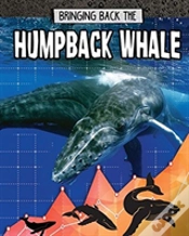 Capa do artigo Humpback Whale