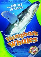 Humpback Whales