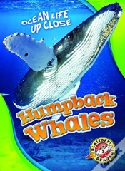 Capa do artigo Humpback Whales