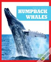Humpback Whales