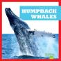 Humpback Whales - Preview