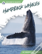 Humpback Whales