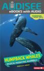 Humpback Whales - Preview