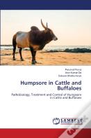 Humpsore In Cattle And Buffaloes