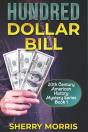 Hundred Dollar Bill - Preview