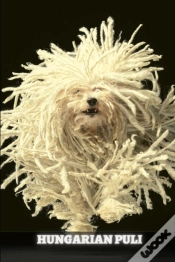 Capa do artigo Hungarian Puli
