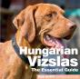 Hungarian Vizslas - Preview