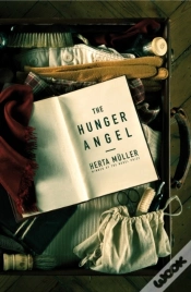 Capa do artigo Hunger Angel