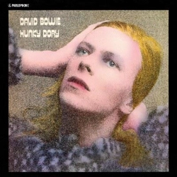 Capa do artigo Hunky Dory - CD