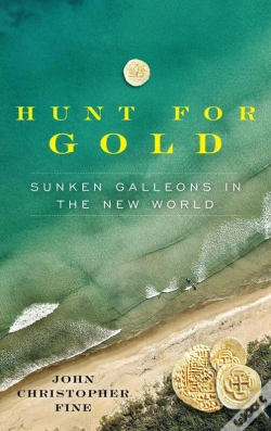 Capa do artigo Hunt For Gold