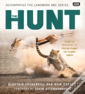 Capa do artigo Hunt
