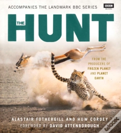 Capa do artigo Hunt