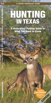Capa do artigo Hunting In Texas