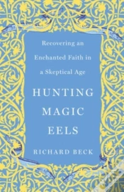 Capa do artigo Hunting Magic Eels