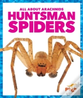 Huntsman Spiders