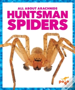 Capa do artigo Huntsman Spiders
