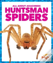 Capa do artigo Huntsman Spiders
