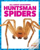 Huntsman Spiders