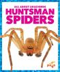Huntsman Spiders - Preview