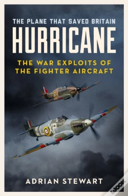 Capa do artigo Hurricane