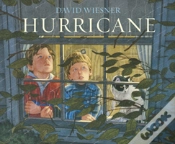Capa do artigo Hurricane