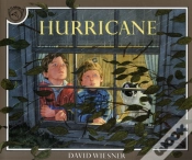 Capa do artigo Hurricane