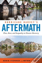 Hurricane Harvey'S Aftermath