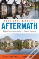 Hurricane Harvey'S Aftermath