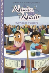 Capa do artigo Hurricane Helpers